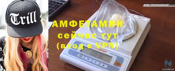 хмурый Корсаков