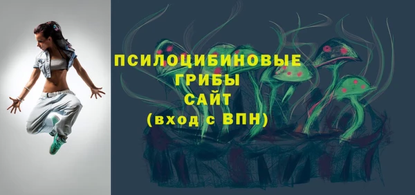 хмурый Корсаков