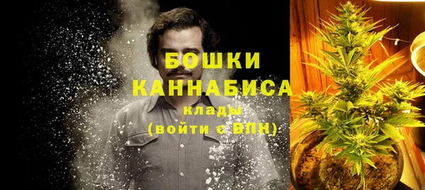PSILOCYBIN Костерёво