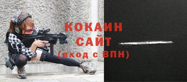 хмурый Корсаков