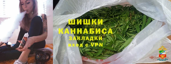 хмурый Корсаков